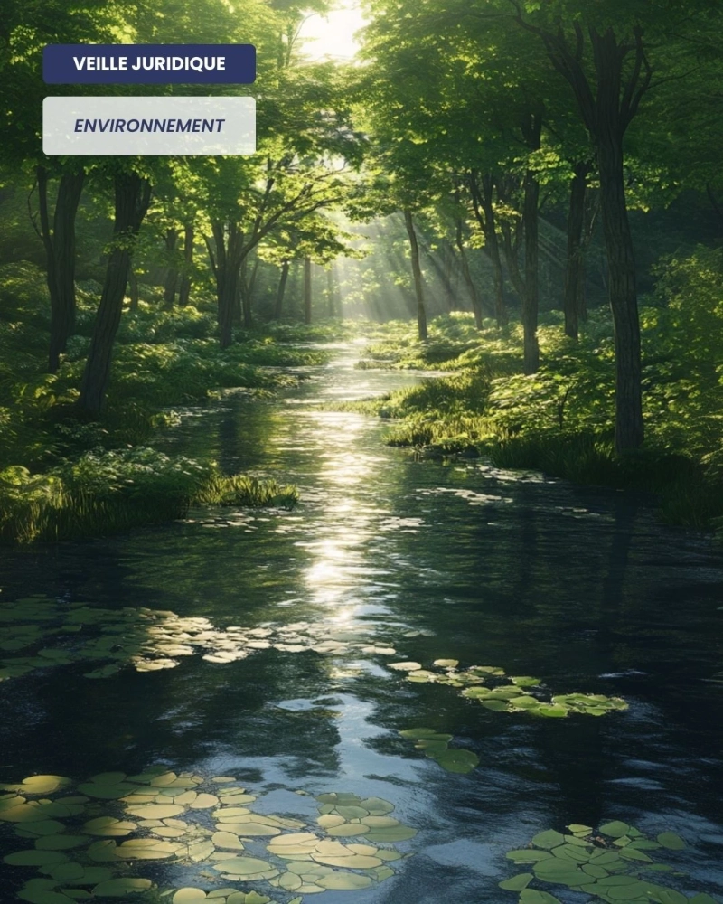 ENVIRONNEMENT – Protection d’une espèce végétale : le Conseil d’État valide le maintien du Réséda de Jacquin sur la liste des espèces protégées