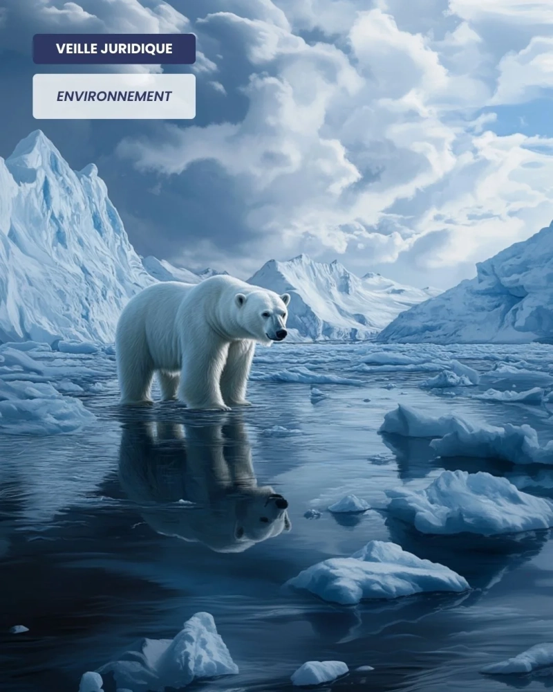 ENVIRONNEMENT – Référé environnemental : absence d’exigence d’une atteinte effective à la ressource en eau