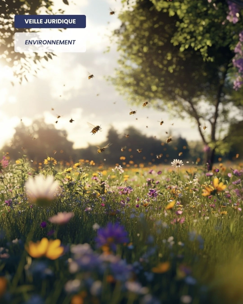 ENVIRONNEMENT - Les travaux d’effacement d’un barrage suspendus à Aigurande