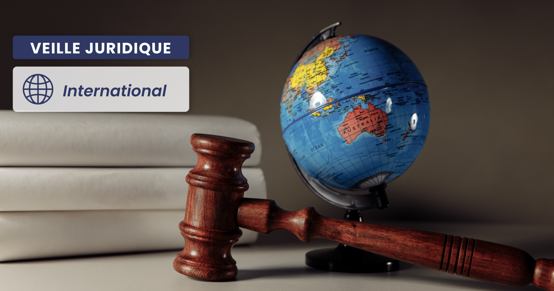 INTERNATIONNAL – Application de la loi française en présence d’une décision d’appel dénuée de base légale