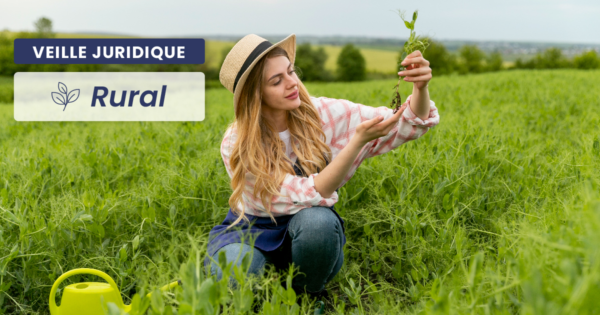 RURAL – Agriculture : fixation des montants des aides couplées pour la campagne 2025