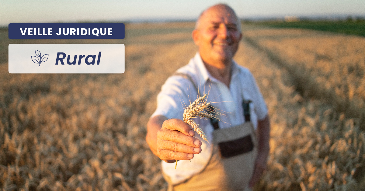RURAL - Occupation sans droit ni titre : le droit de se défendre en justice ne devient abusif qu’en cas de faute caractérisée