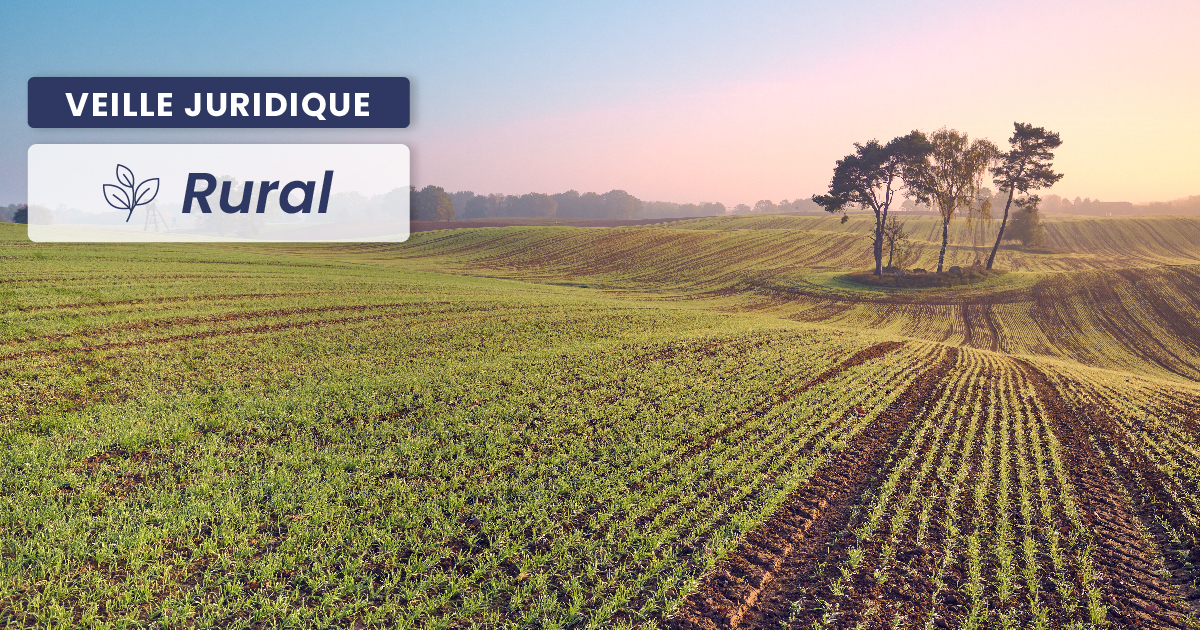 RURAL – Bail rural, rupture d’une digue et responsabilité du bailleur