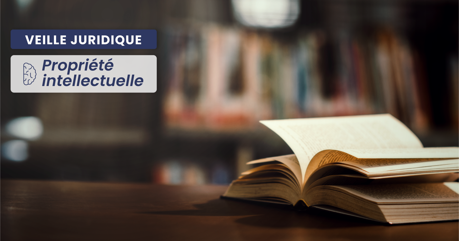 PROPRIÉTÉ INTELLECTUELLE – INPI : le conseil d’administration est modifié pour mieux appréhender les formalités administratives des entreprises 